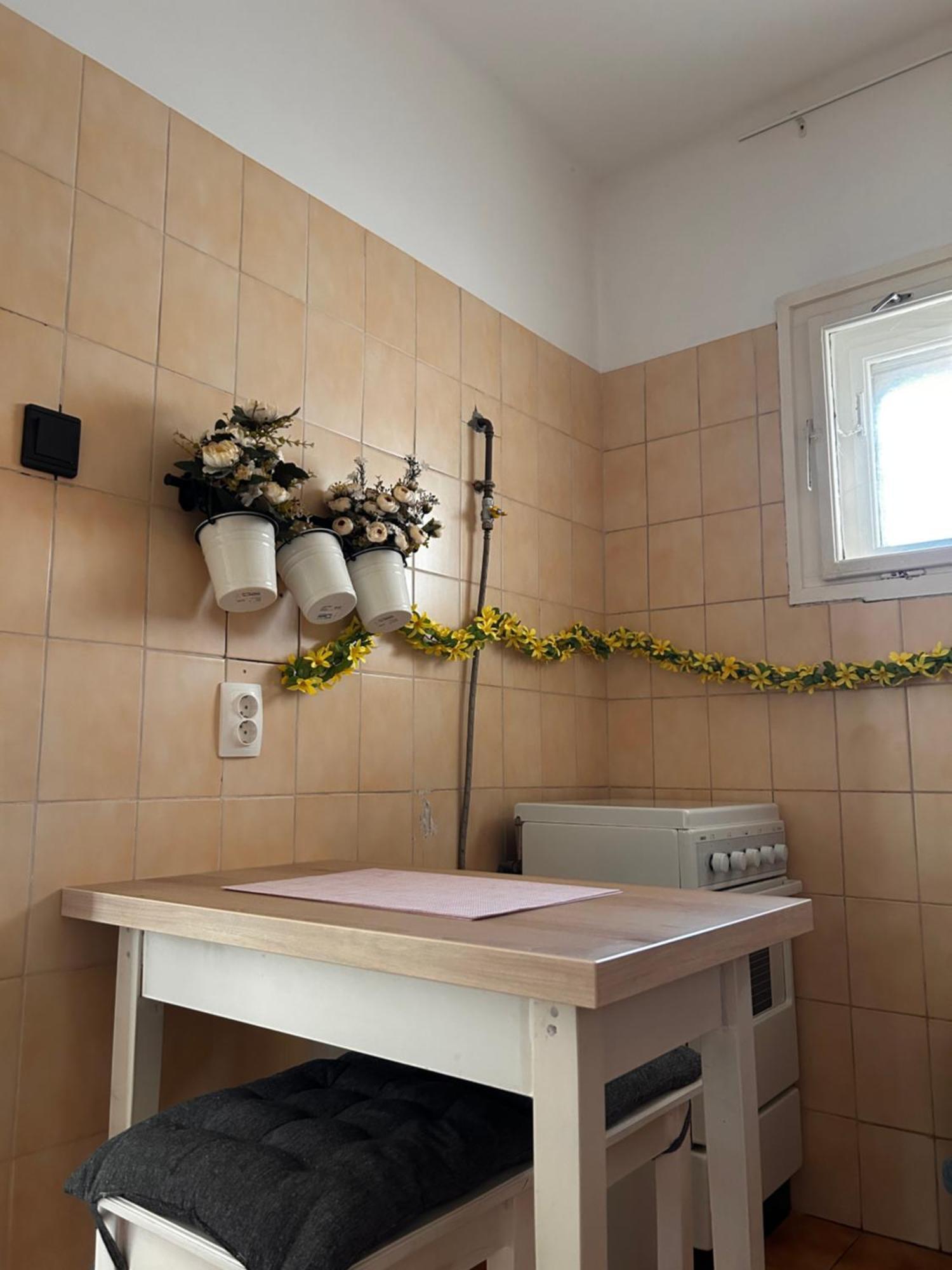 Cozy Apartment In The City Centre Next To Dom Square Szeged Ngoại thất bức ảnh